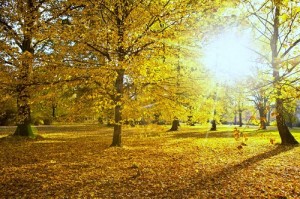 Otoño