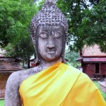 MEDITACION Y CIENCIA