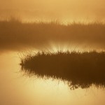 Antonio Machado «Campos de Soria»
